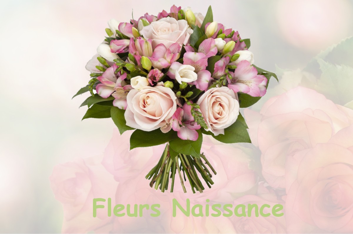 fleurs naissance REAUMONT