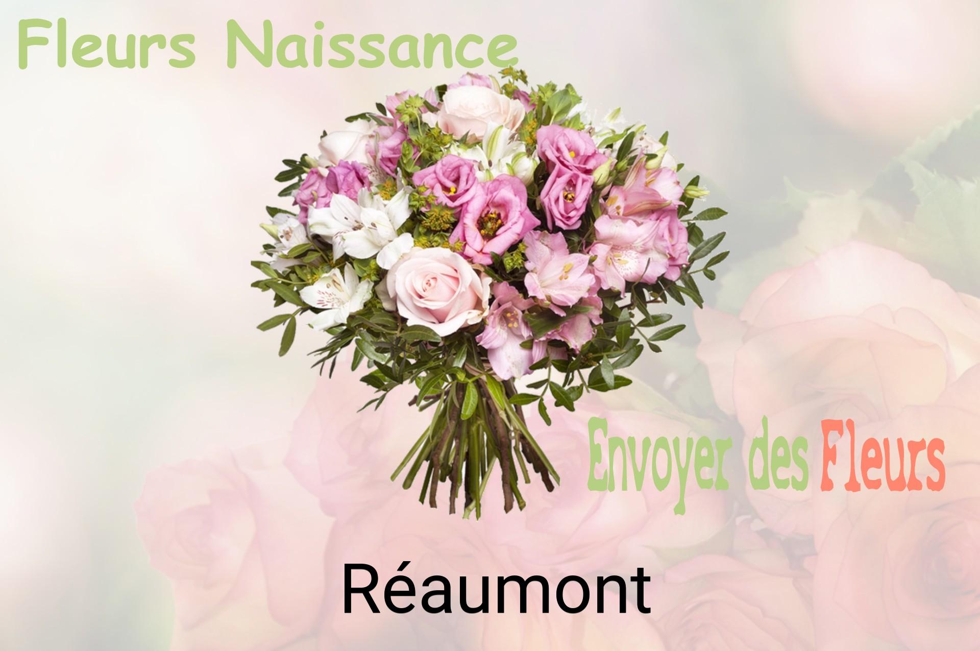 Bouquet de fleurs de naissance livré à Réaumont