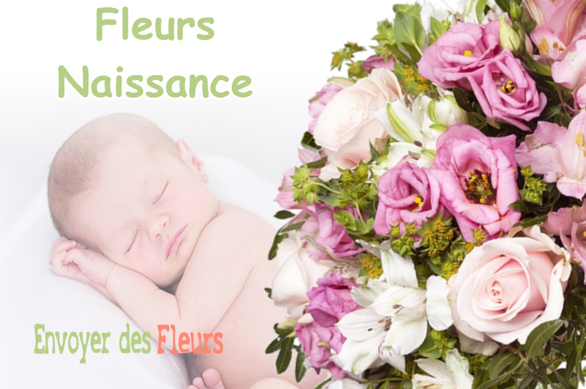 lIVRAISON FLEURS NAISSANCE à REAUMONT