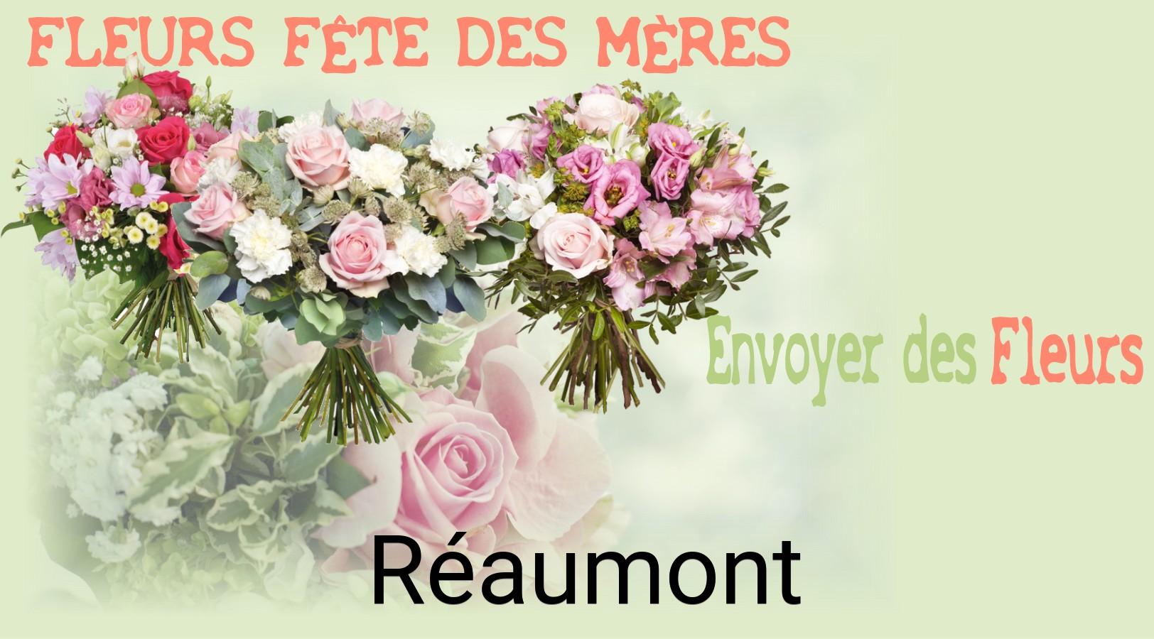 Bouquet de Fête des Mères livré à Réaumont